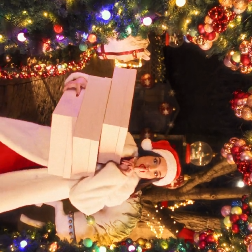 Wainhal Christmas 2024